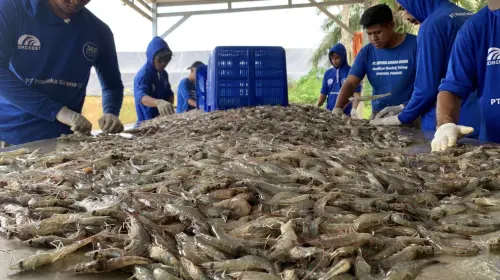Agro Bahari Nusantara (UDNG) Incar Dana Segar Rp50 Miliar Melalui IPO