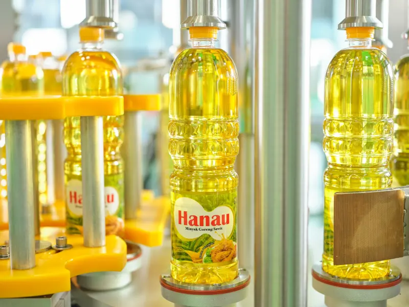 Citra Borneo Utama (CBUT) Bukukan Kenaikan Laba Bersih 11,5% di Kuartal I-2026